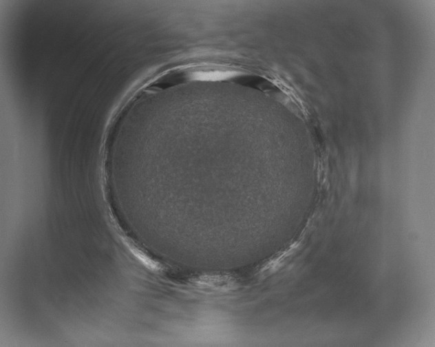 X0000071950101200607141509