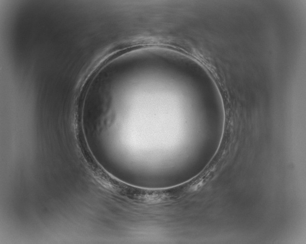 X0000071950103200607141509