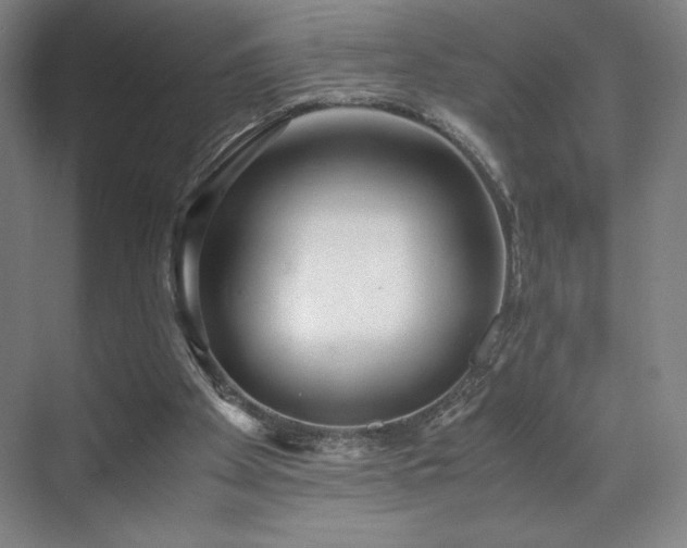 X0000071950105200607141509