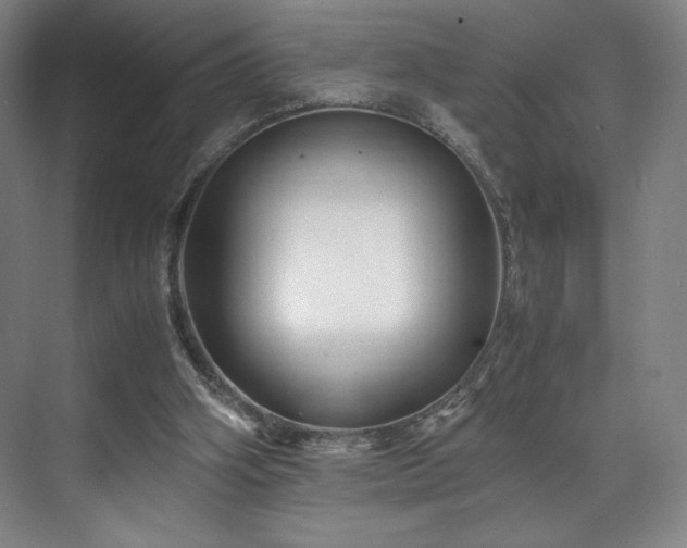 X0000071950106200607141509