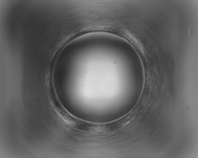 X0000071950107200607141509