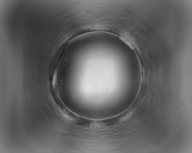 X0000071950109200607141509