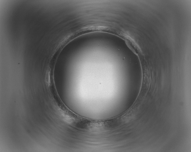 X0000071950110200607141509