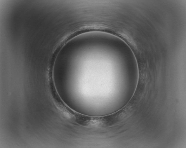 X0000071950111200607141509