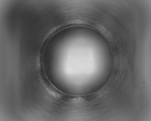 X0000071950112200607141509