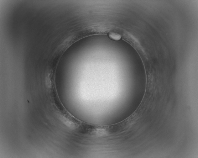 X0000071950114200607141509