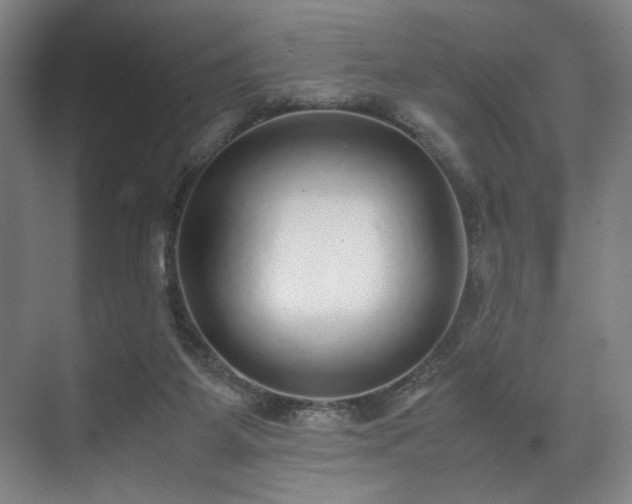 X0000071950115200607141509