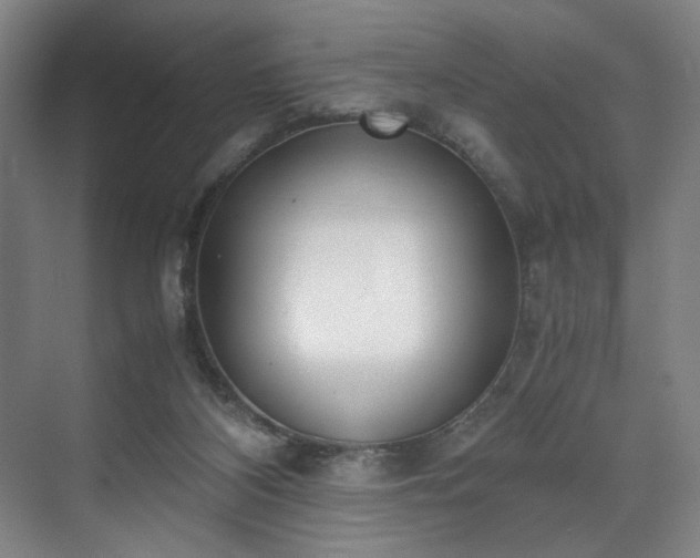 X0000071950116200607141509