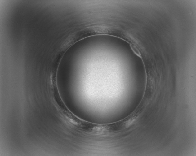 X0000071950117200607141509