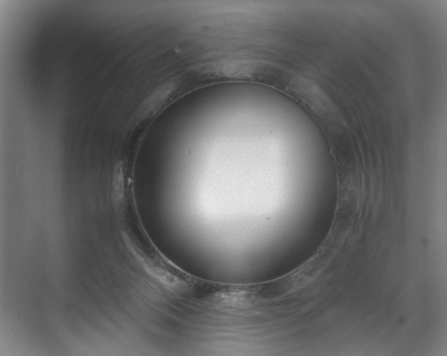 X0000071950120200607141509