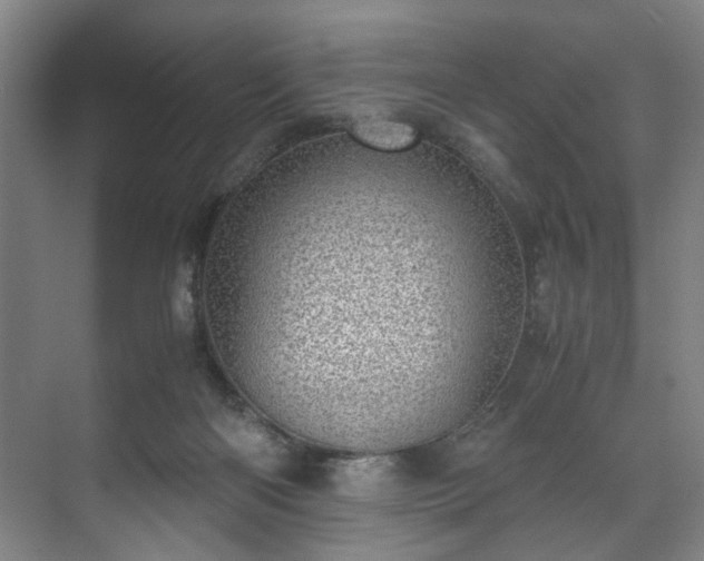 X0000071950122200607141509