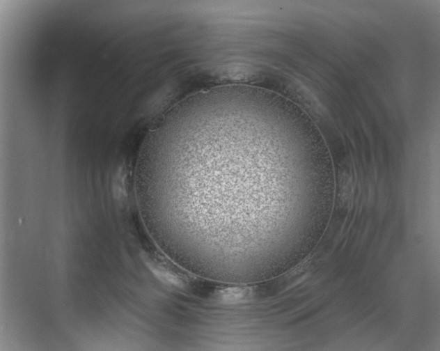 X0000071950126200607141509