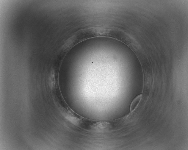 X0000071950128200607141509