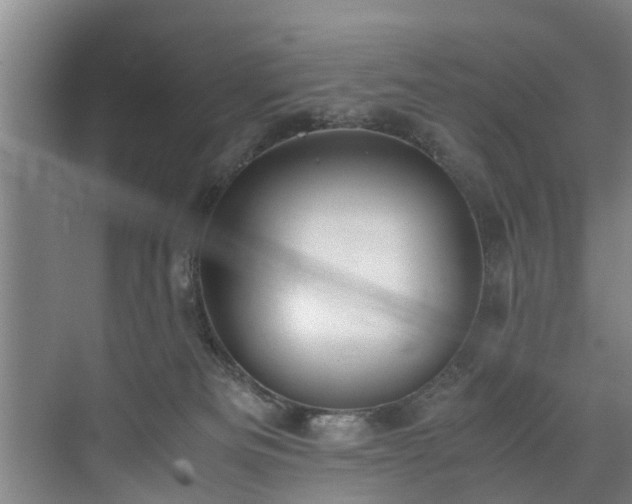 X0000071950133200607141509