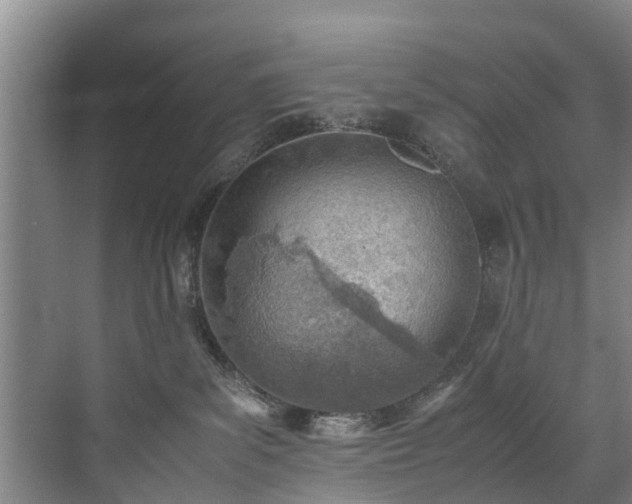 X0000071950139200607141509