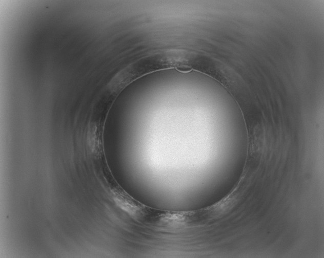 X0000071950140200607141508