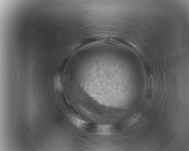 X0000071950143200607141508