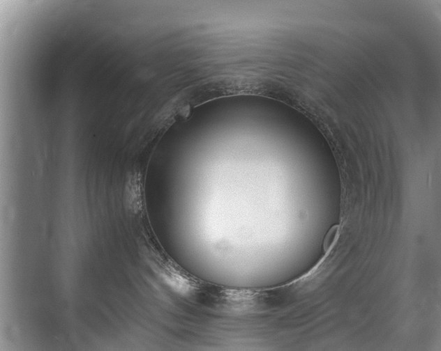 X0000071950144200607141508