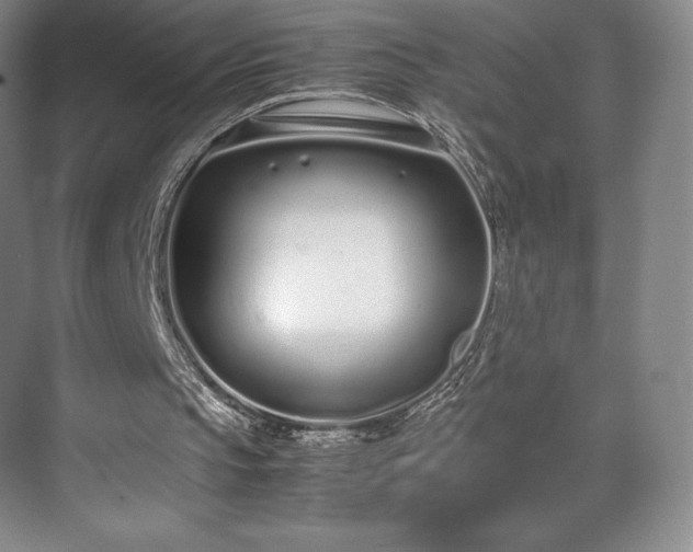 X0000071950145200607141508