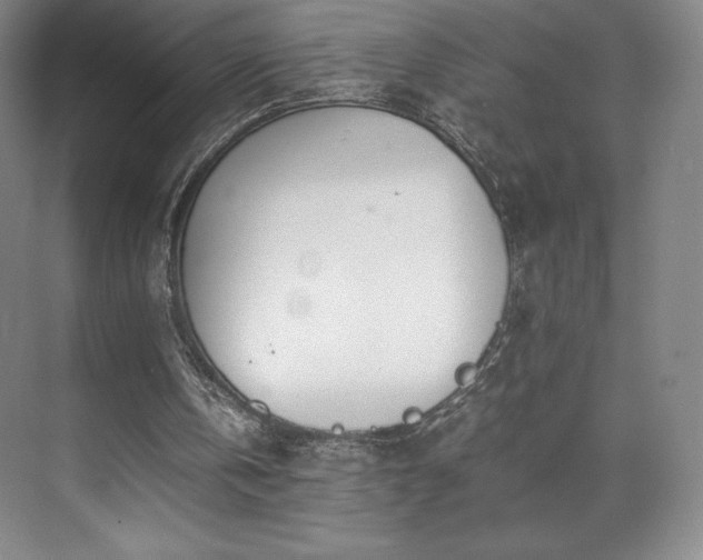 X0000071950146200607141508