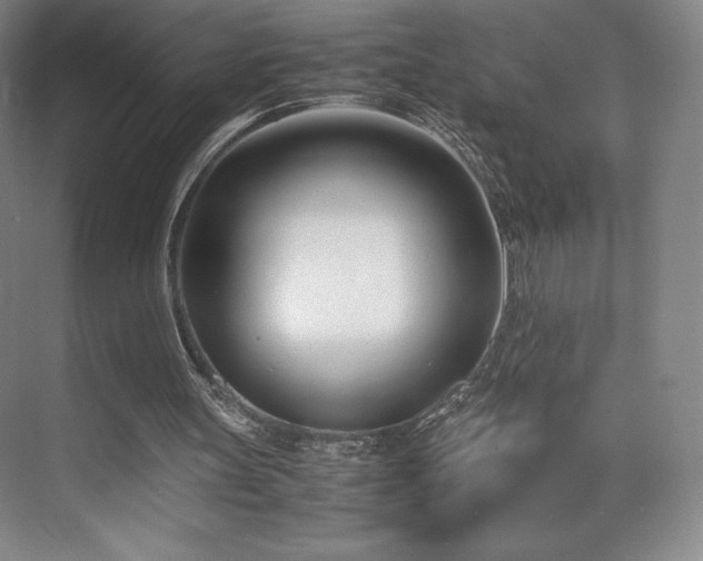 X0000071950147200607141508