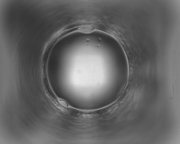 X0000071950149200607141508