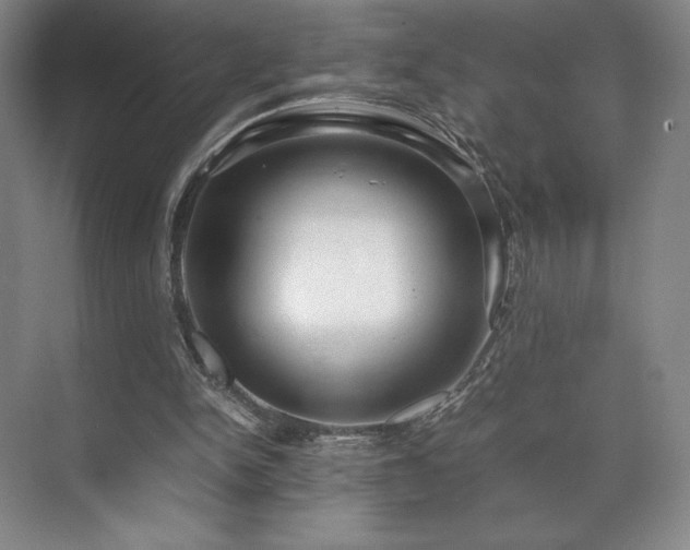 X0000071950150200607141508