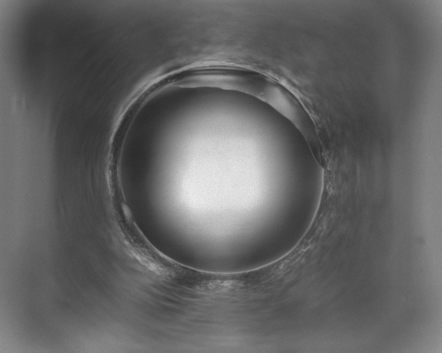 X0000071950152200607141508