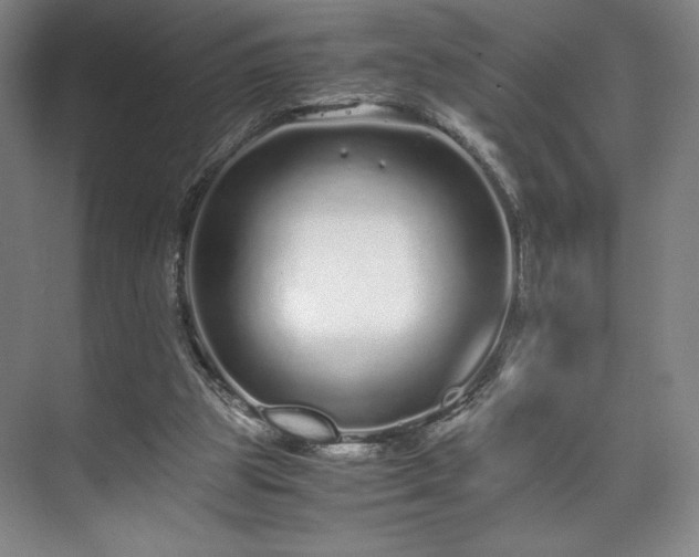 X0000071950153200607141508