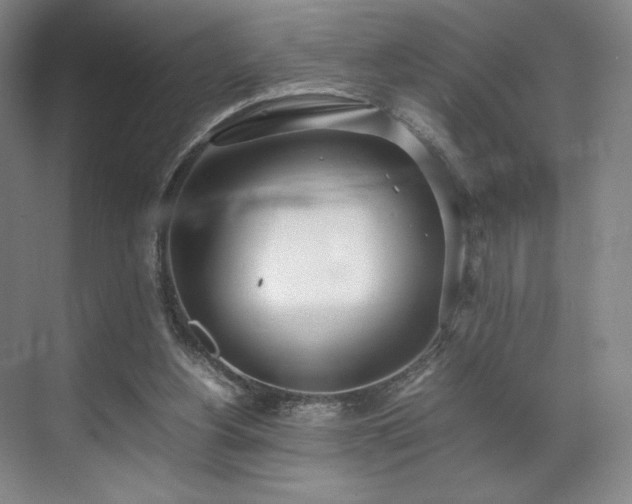 X0000071950156200607141508