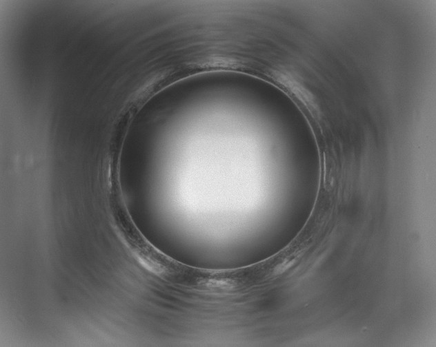 X0000071950157200607141508