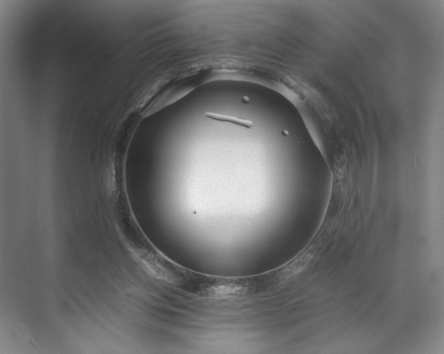 X0000071950158200607141508