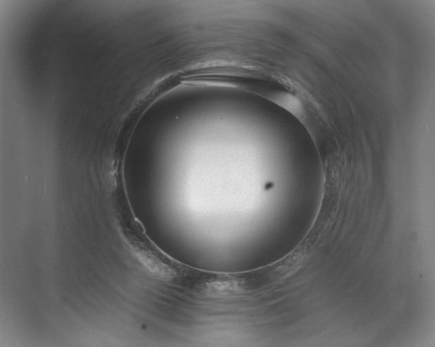 X0000071950160200607141508