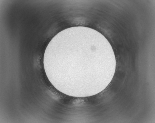 X0000071950162200607141508