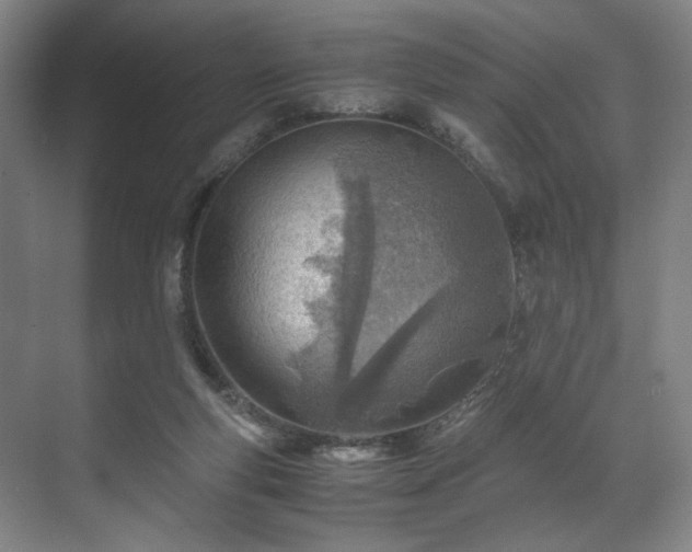 X0000071950163200607141508