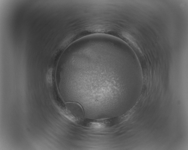 X0000071950167200607141508