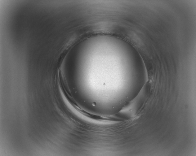 X0000071950168200607141508