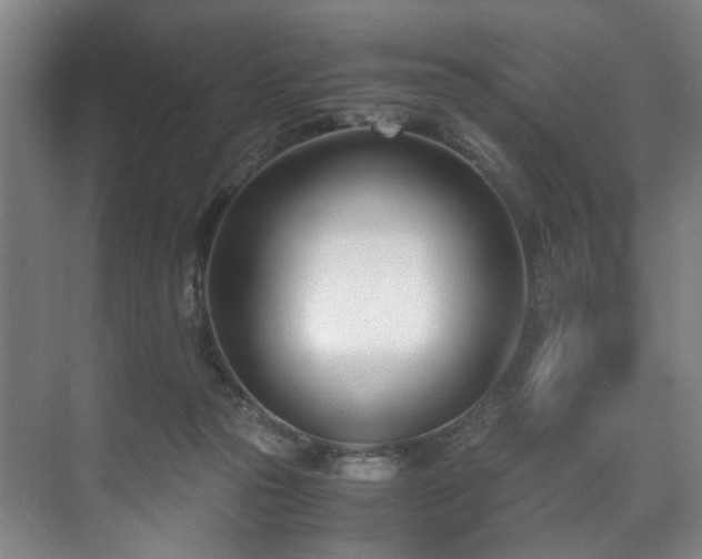 X0000071950169200607141508