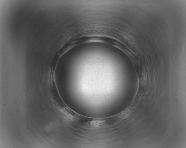 X0000071950172200607141508