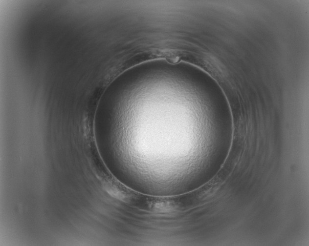 X0000071950173200607141508