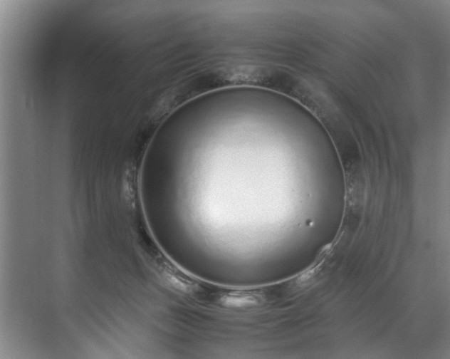 X0000071950175200607141508