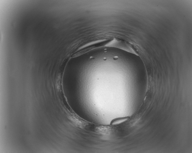 X0000071950189200607141508