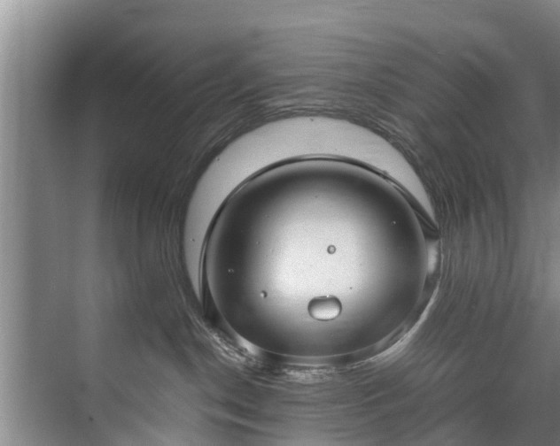 X0000071950190200607141508