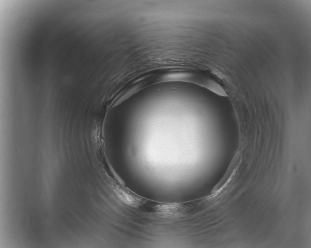 X0000071950192200607141508