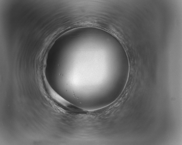 X0000071950193200607141508