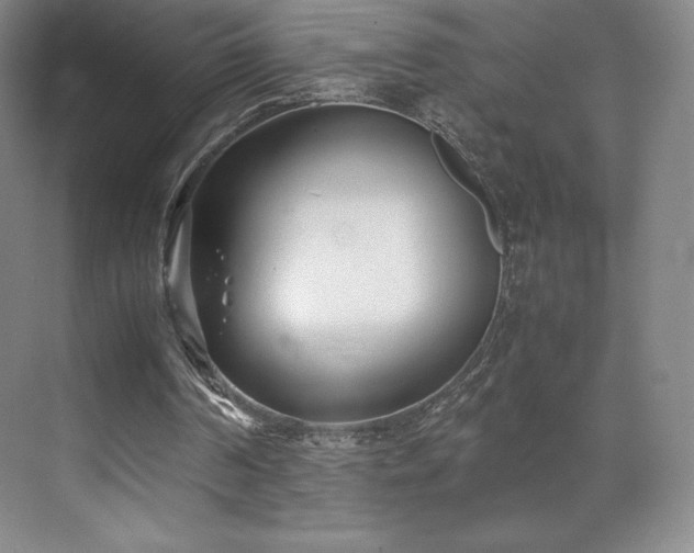 X0000071950194200607141508