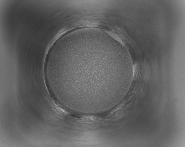 X0000071950195200607141508