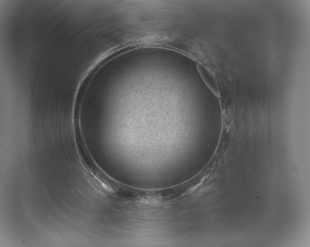 X0000071950196200607141508