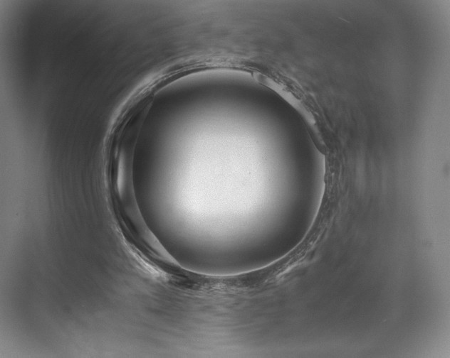 X0000071950197200607141508