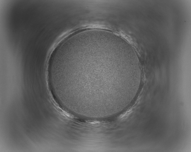 X0000071950199200607141508